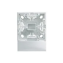 Arnould 63870 Cadre Adaptateur 1 Poste Pour Moulure DP Plus 32/40x16mm - Profil 2 - Blanc