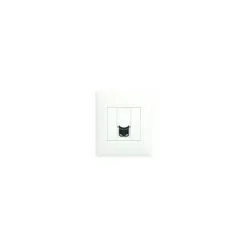 Prise RJ 45 Multimédia Cat. 6 Avec Plaque Espace Evolution Blanc ARNOULD 50976